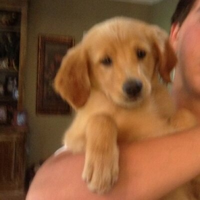 Profile Picture of Hazel Randall (@hptrandall) on Twitter