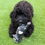 Profile Picture of Gabby Christopher (@gc183) on Instagram