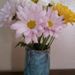 Profile Picture of Kim Wallner Backaitis (@kab0309) on Pinterest