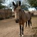 Profile Picture of Toscano Sharon (@toscano.sharon.3) on Facebook