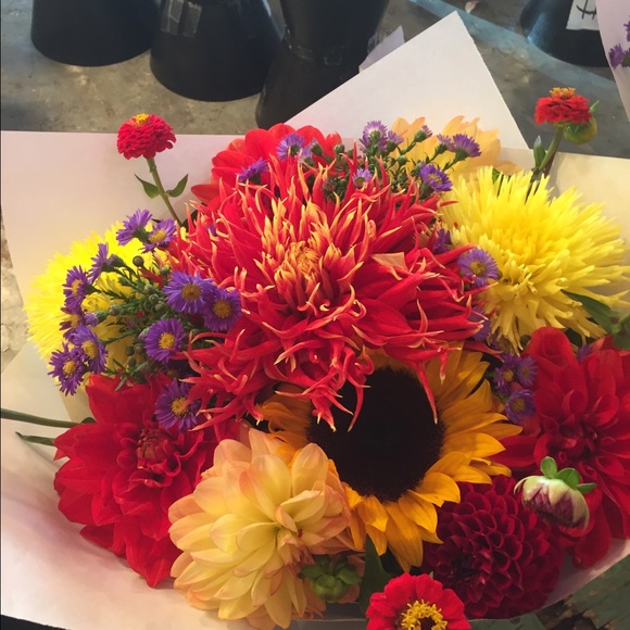 Profile Picture of Cindy Alexander (@cindy643) on Poshmark