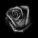 Profile Picture of Sabrina Rajpaul (@srajpaul) on Pinterest