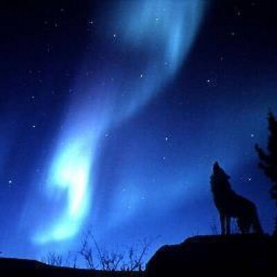 Profile Picture of Brandon Slick (@Brandonslick1) on Twitter
