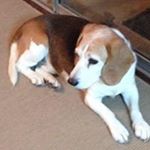 Profile Picture of Brandi Conaway (@brandiconaway) on Instagram