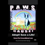 Profile Picture of Stephanie Hyatt (@pound_animals_worth_saving) on Instagram