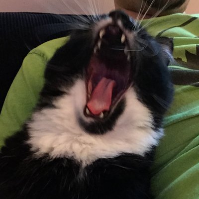 Profile Picture of Matt Gillard (@gillard_matt) on Twitter