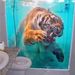 Profile Picture of Kevin Otero (@jkevinotero) on Pinterest
