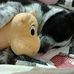 Profile Picture of Betsy Botts (@betsy.botts.3) on Facebook