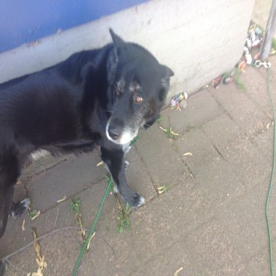 Profile Picture of Matthew Heikkila (@matthewheikkila) on Tiktok