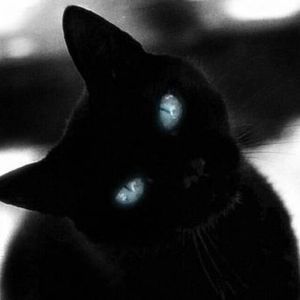 Profile Picture of Elizabeth Rae (@fox_of_the_moon) on Myspace