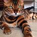 Profile Picture of Stella Richard (@richard.remillard.3194) on Facebook