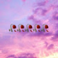 Profile Picture of Alexa Lozano (@alexa-lozano-10) on Quora