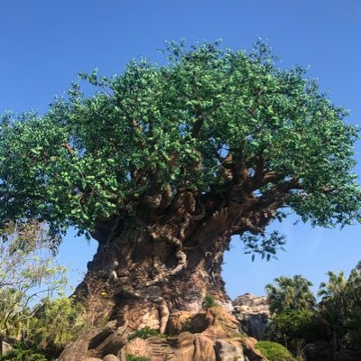 Profile Picture of Joseph Hoots (@HootsJoseph) on Twitter