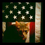 Profile Picture of Brian Murphy Harker (@murphyobrian) on Instagram
