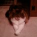 Profile Picture of Jim Kadlec (@jim.kadlec.79) on Facebook