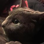 Marshall Elliott - Instagram Profile Picture of Marshall Elliott (@mars_elliott) on Instagram