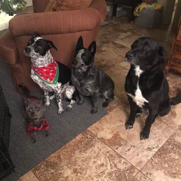 Amapola Ami - Poshmark Profile Picture of Amapola Ami (@amapola55) on Poshmark