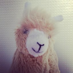 Profile Picture of Larry Albert Llama (@LarryLlama123) on Twitter