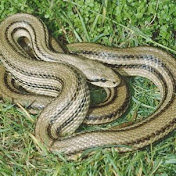 Profile Picture of Antonio Giorgio (@antoniogiorgio3377) on Youtube