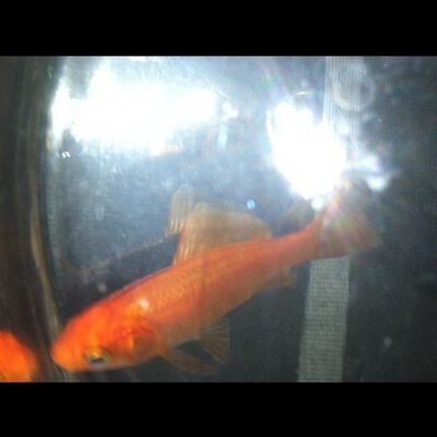 Profile Picture of Erik Torrez (@eriktorres8634) on Twitter