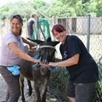 Profile Picture of Jules Jenkinson (@corfujules) on Instagram