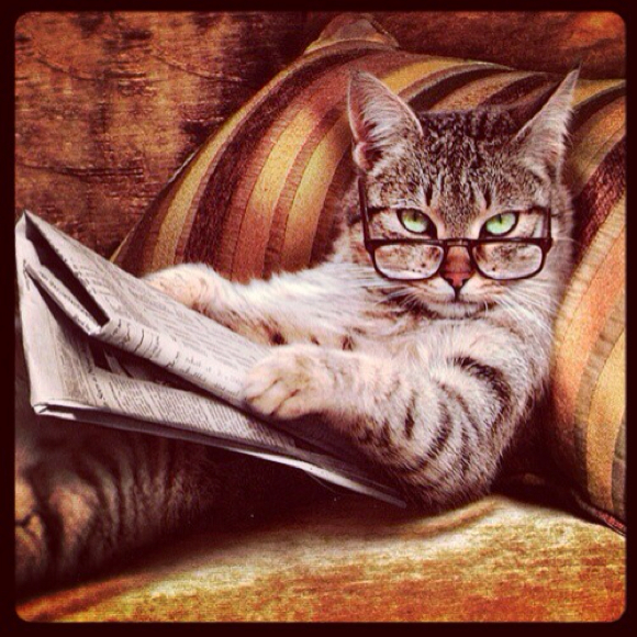 Kim Savage - Poshmark Profile Picture of Kim Savage (@emil2e) on Poshmark