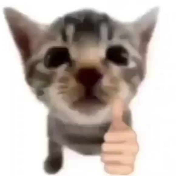 Profile Picture of Adam Tran (@muddpiee) on Poshmark