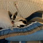 Profile Picture of Jeanne Jenkins (@jeanne.jenkins.142) on Instagram