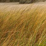 Profile Picture of _paige (@_paigeortiz85) on Instagram