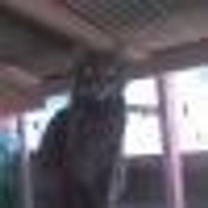 Profile Picture of Sonia Assis (@396942684) on Myspace