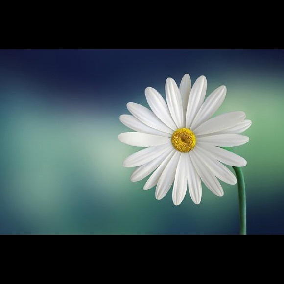 Profile Picture of Erica Basham (@ebasham10) on Poshmark