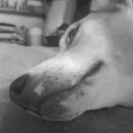 Profile Picture of Jacob Poundzy (@Jacob-Poundzy) on Facebook