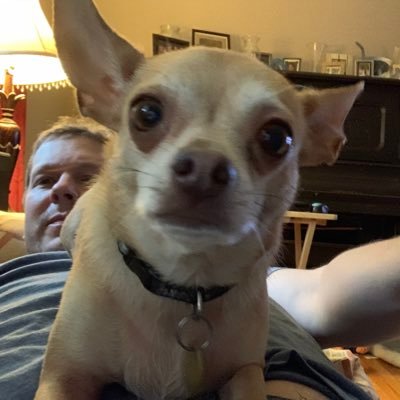 Profile Picture of Brent Higgins (@BrentHiggins12) on Twitter