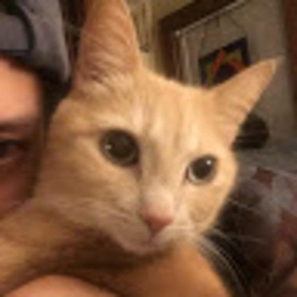 Profile Picture of Jenny Ackerson (@ackersonjenny) on Poshmark