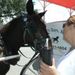 Profile Picture of Kellie Petitfils (@kpetitfils) on Pinterest