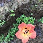 Profile Picture of Robin Bruno (@robin.bruno.509) on Instagram