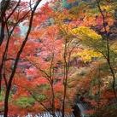 Isabel Parra - Twitter Profile Picture of Isabel Parra (@isabelparra2000) on Twitter