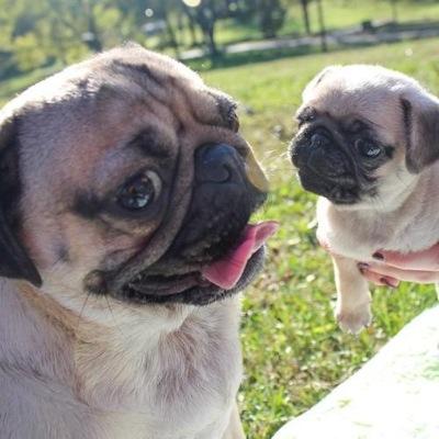 Profile Picture of Lancey-pants (@Lance_Badger) on Twitter