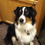 Profile Picture of Bob Gossett (@bobodisco) on Instagram