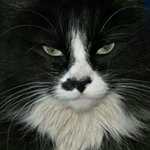 Profile Picture of April Carr (@apriljustapril) on Instagram