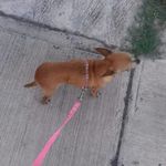 Profile Picture of Giselle Cordero (@gisellecordero19) on Instagram