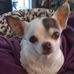 Profile Picture of Cheryl V Mulkey (@cheryl.v.mulkey) on Facebook