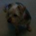 Profile Picture of Eunice Hollins (@eunice.hollins.1) on Facebook
