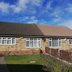 Gary Howard - Instagram Profile Picture of Gary Howard (@cleancarehygiene) on Instagram