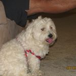 Profile Picture of jimmy sides (@jimsides42) on Instagram