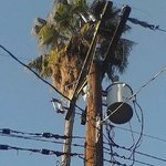 Profile Picture of bobbygoble (@bobbygoble) on Instagram