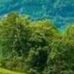 Profile Picture of Wahby Wahby (@wahby.wahby.796) on Facebook