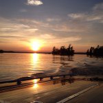 Profile Picture of Patrick Dolan (@patrickwd) on Instagram