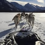 Profile Picture of Brian Chuck (@brian.chuck.96) on Facebook