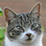 Profile Picture of Rob Moore (Phil Dicks) (@Rob Moore (Phil Dicks)) on Flickr